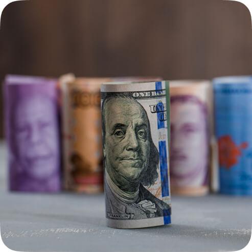 Regius Fixed Income USD Plan